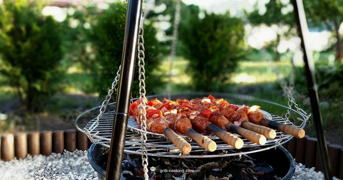 Outdoor Grills Overview - Grill Cooking