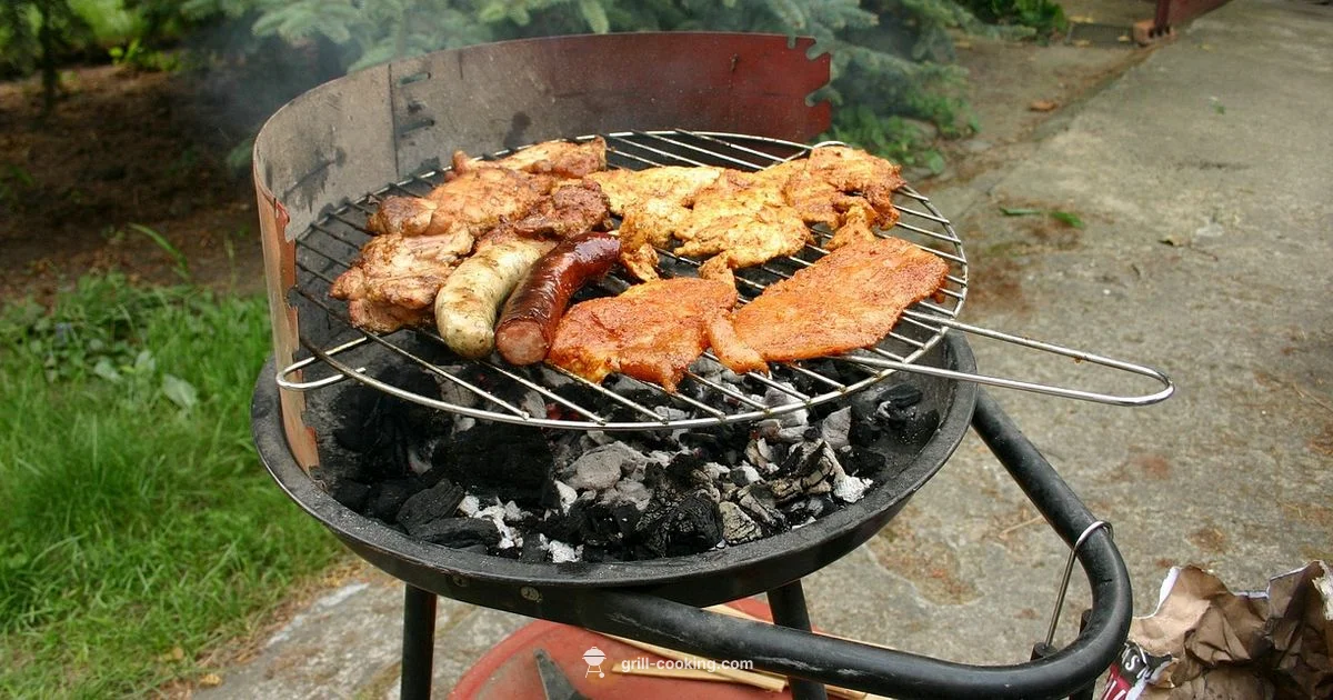 Z Grills Review - Grill Cooking