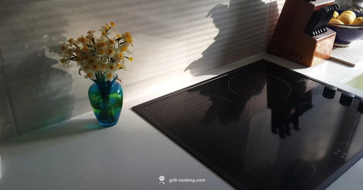 Grill vs Convection Grill vs Convection - Grill Cooking