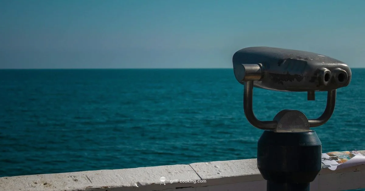 South Beach Grilling - Grill Cooking