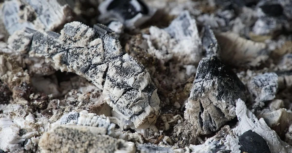 Grill Colour Guide - Grill Cooking