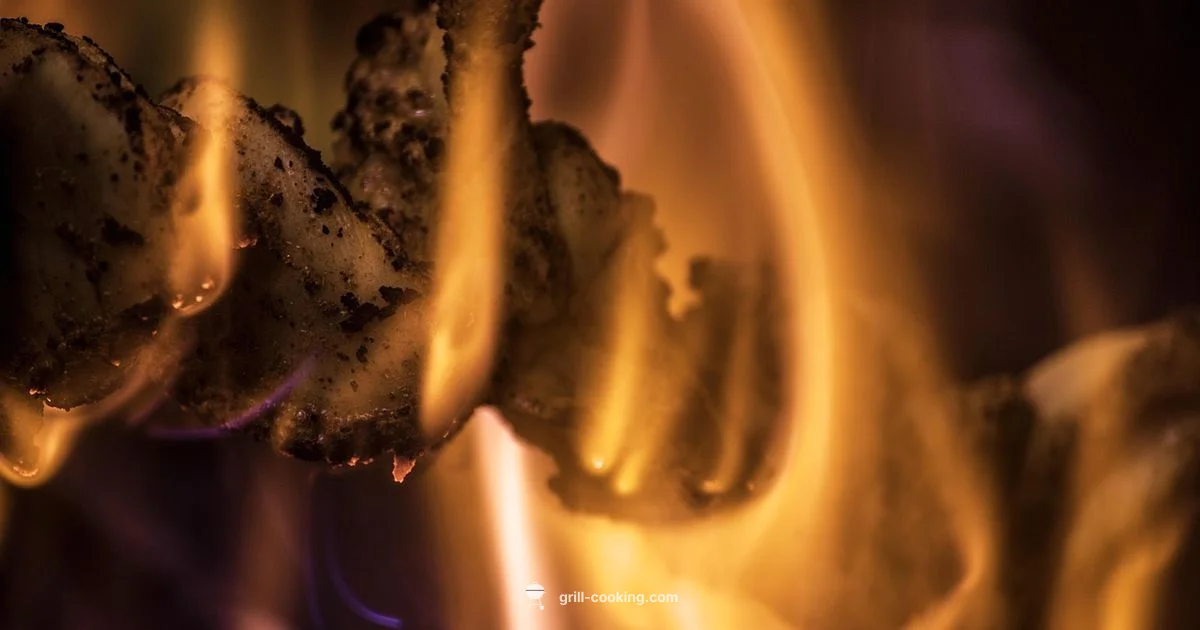 Maharaj Grill Guide - Grill Cooking