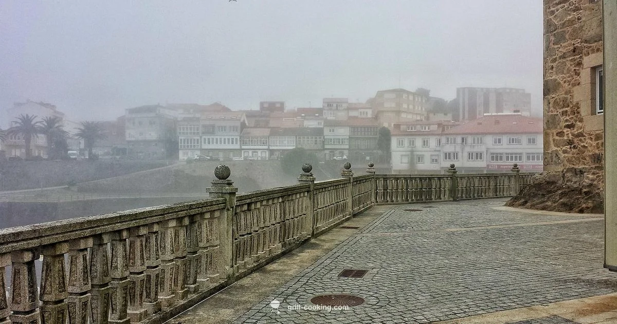 Lid Position Mastery - Grill Cooking