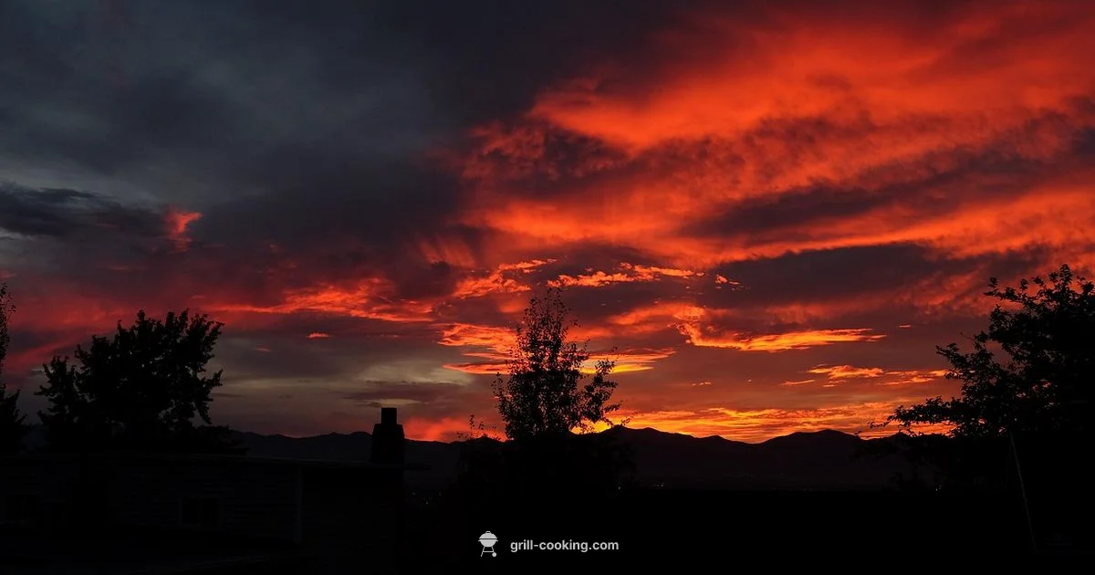 Brush Timing Guide - Grill Cooking