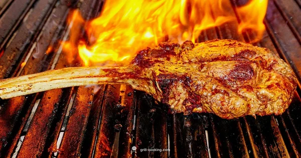 Pro Grill Setup - Grill Cooking