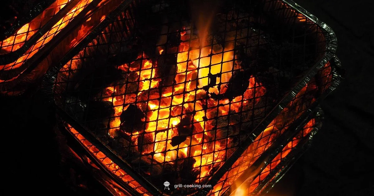 Charcoal Health Guide - Grill Cooking