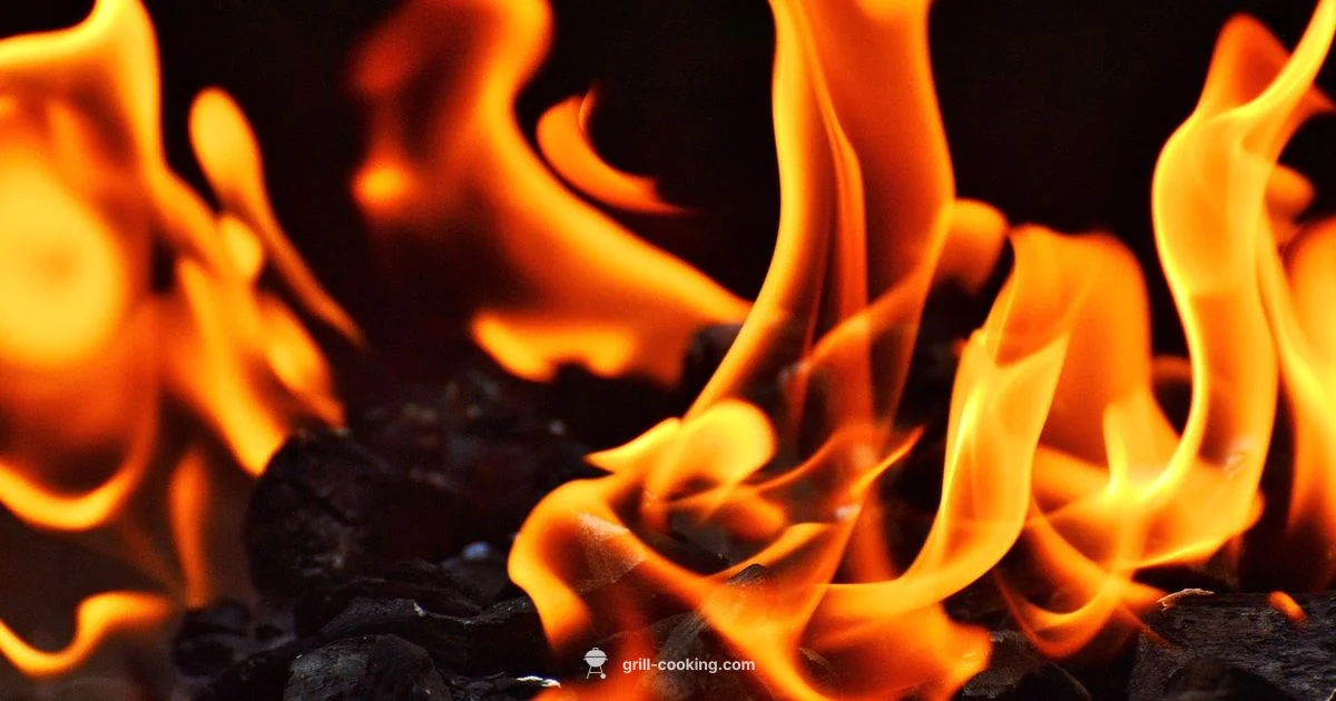 Charcoal Grill Basics - Grill Cooking