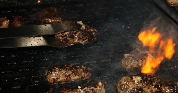 Z Grills Origin - Grill Cooking