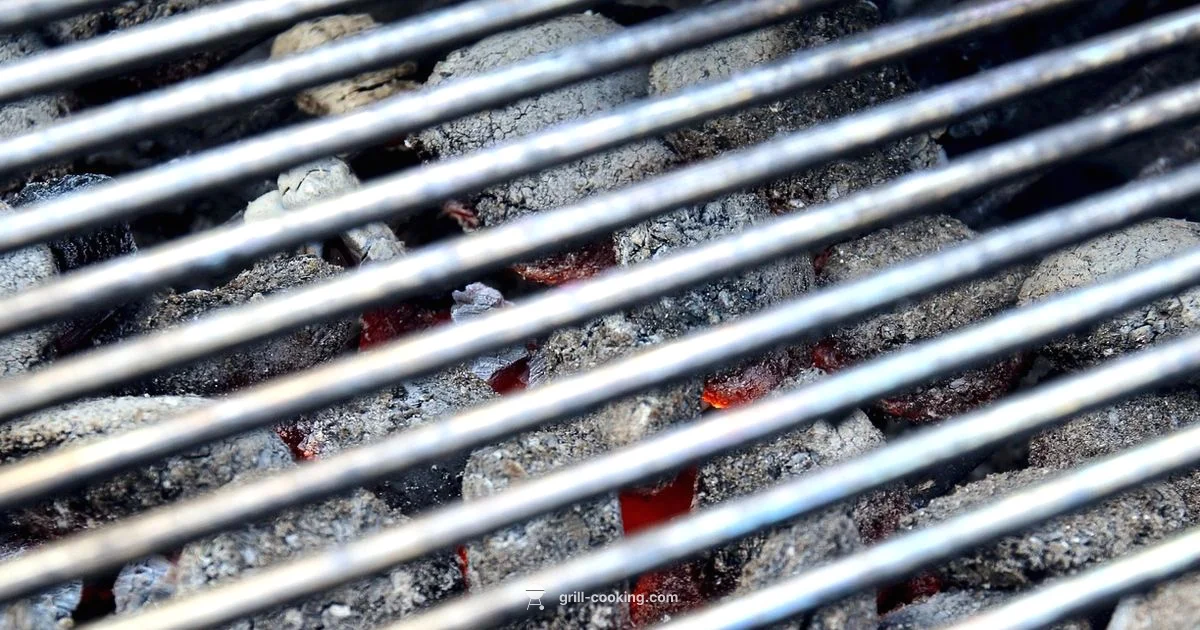 Weber Charcoal Guide - Grill Cooking