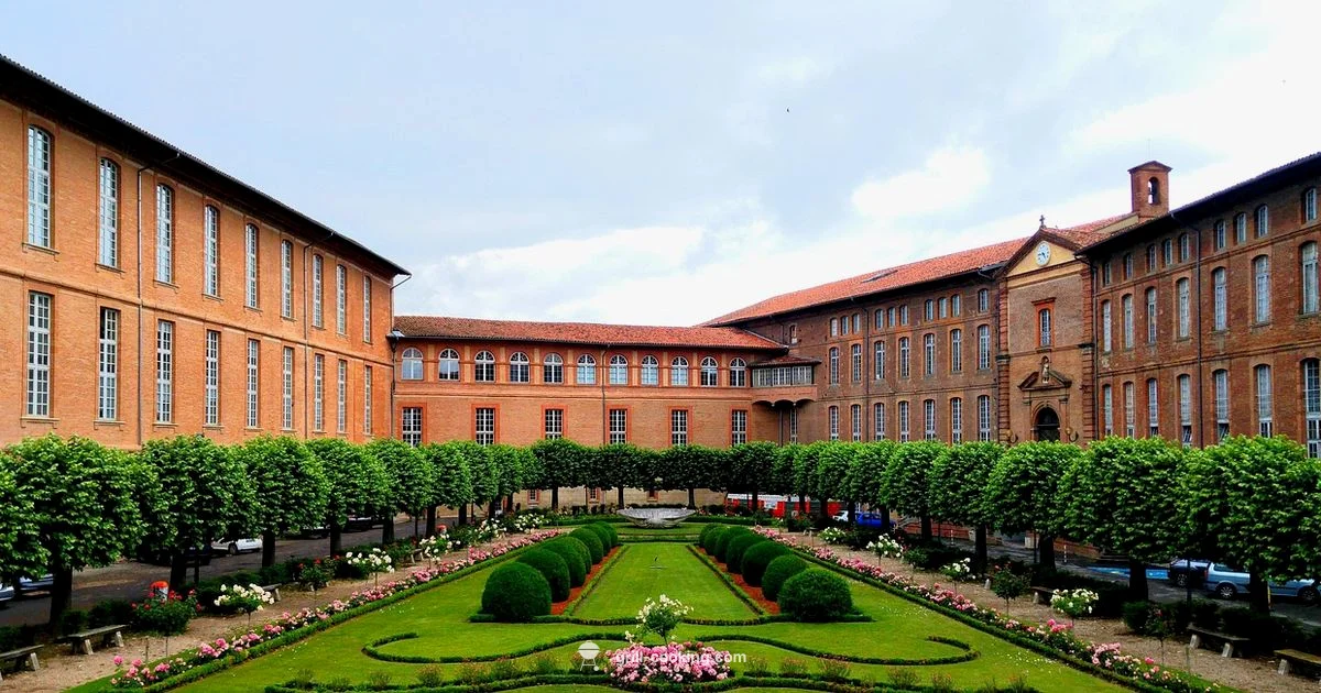 S2 Express Grill Review - Grill Cooking