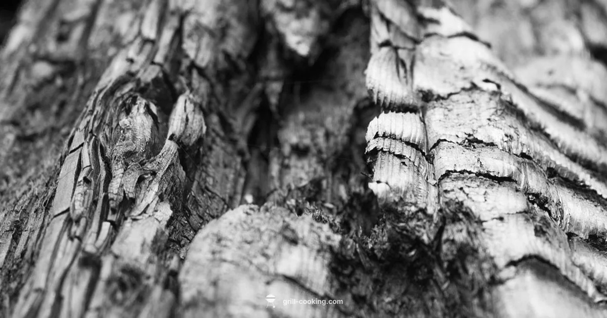 Ash-Ready Grilling - Grill Cooking