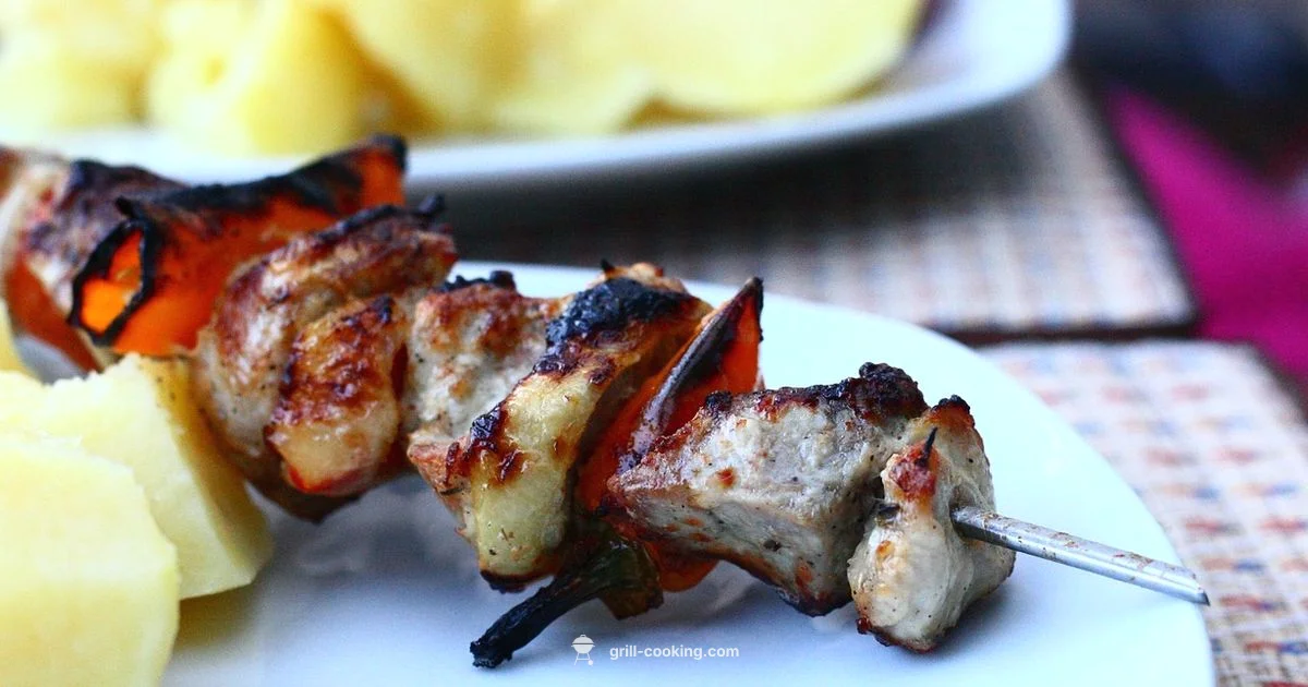 Habibi Grill Guide - Grill Cooking