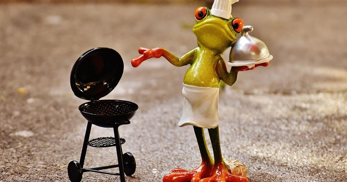 Propane Grill Ignition - Grill Cooking