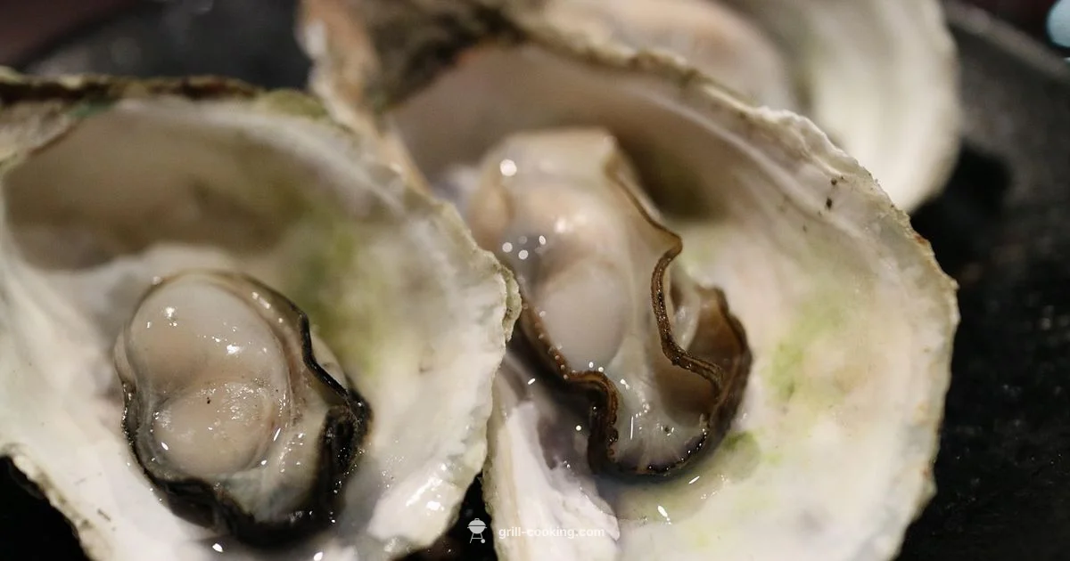 Noizy Oysters Experience - Grill Cooking