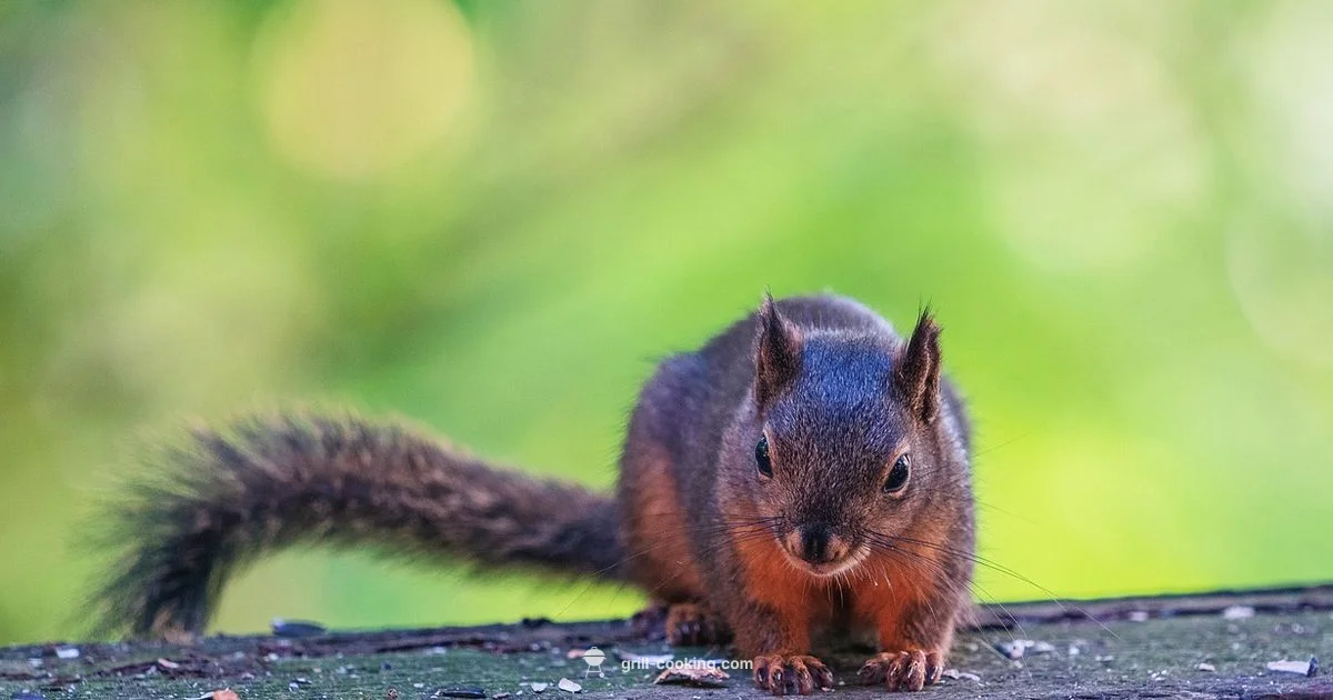 Charcoal Near You - Grill Cooking