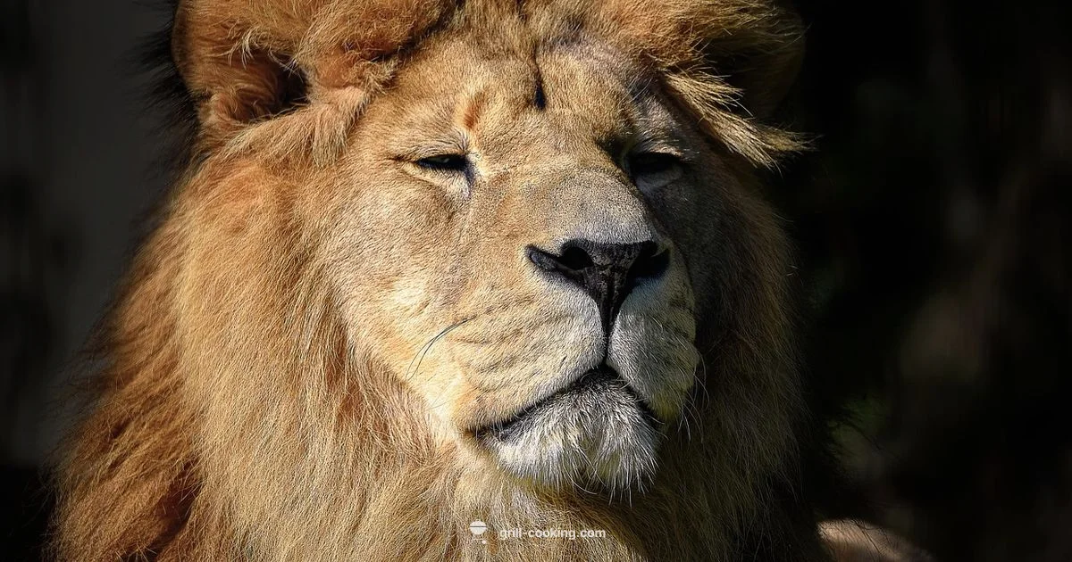 Lions Bar Night - Grill Cooking