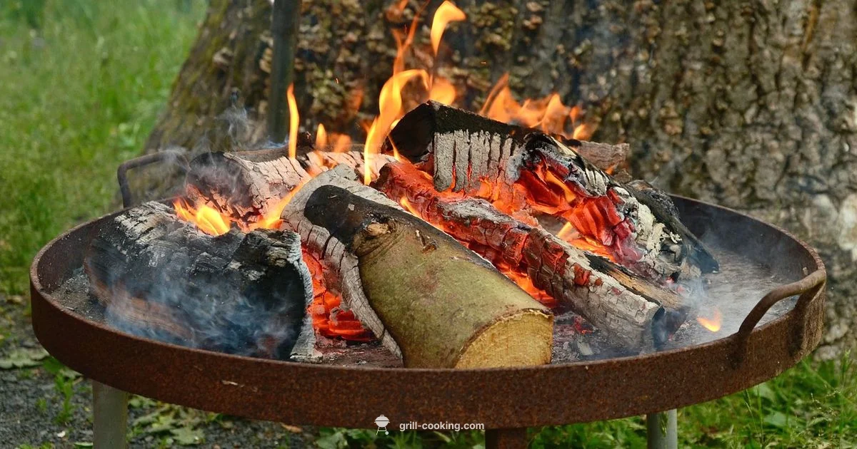 Grill City Guide - Grill Cooking