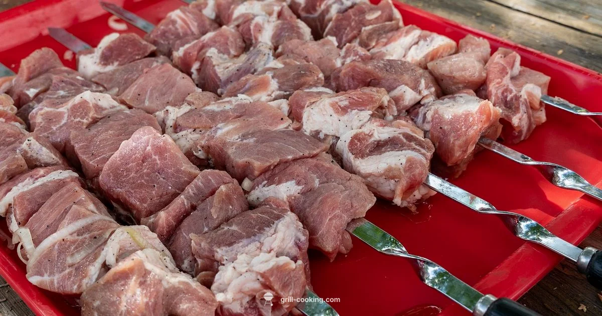 Persis Grill Guide - Grill Cooking
