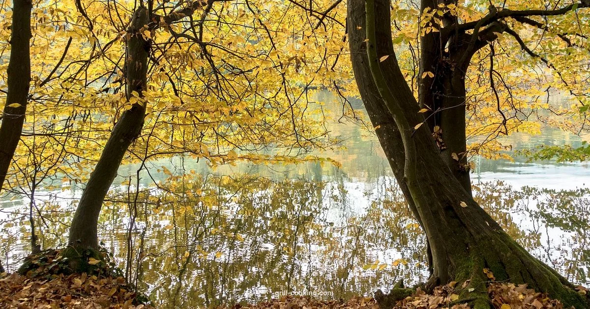 River Grill Guide - Grill Cooking