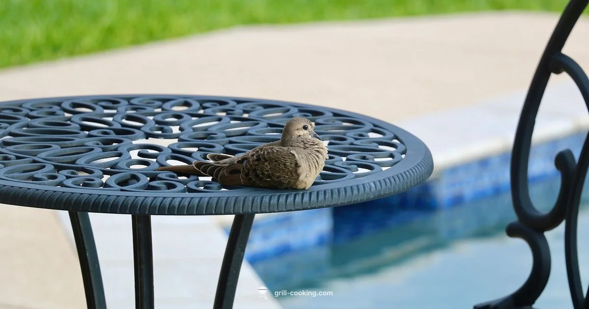 Tavern Grill Overview - Grill Cooking