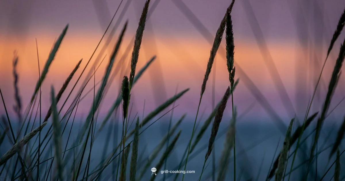 Salem Market Grill Guide - Grill Cooking