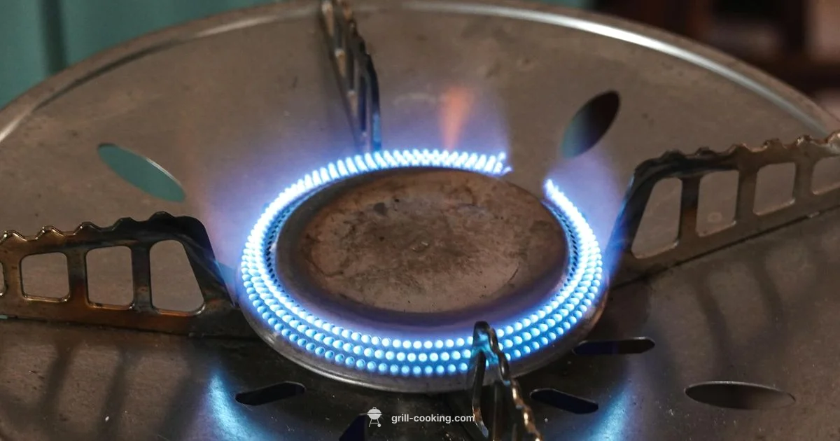 Grill Igniter Troubleshooting Guide - Grill Cooking