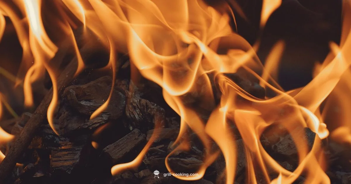 BBQ Meat Guide - Grill Cooking