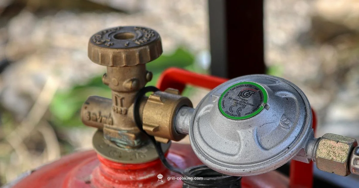 Propane Grilling Guide - Grill Cooking