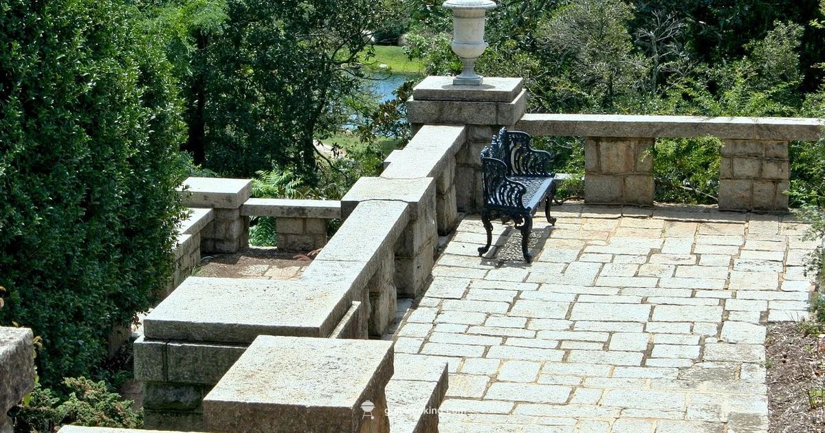 Ultimate Grill - Grill Cooking