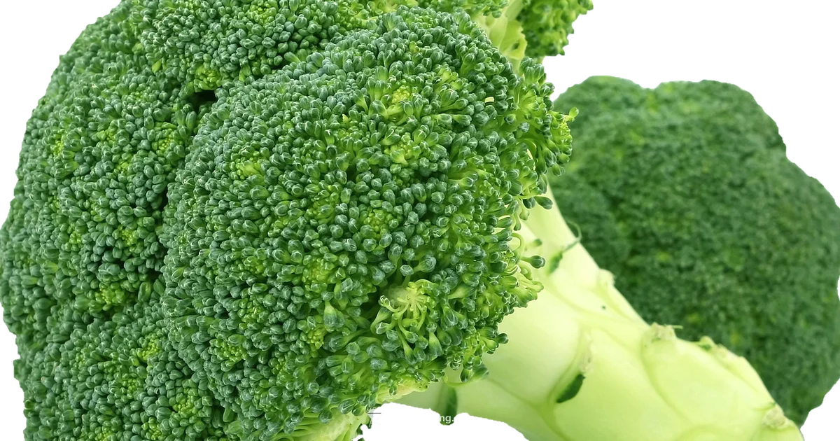 Grilled Broccoli - Grill Cooking