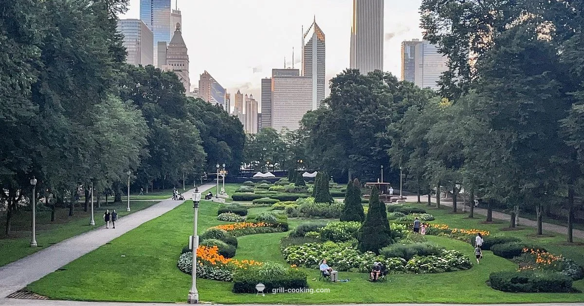 Central Park Grilling - Grill Cooking