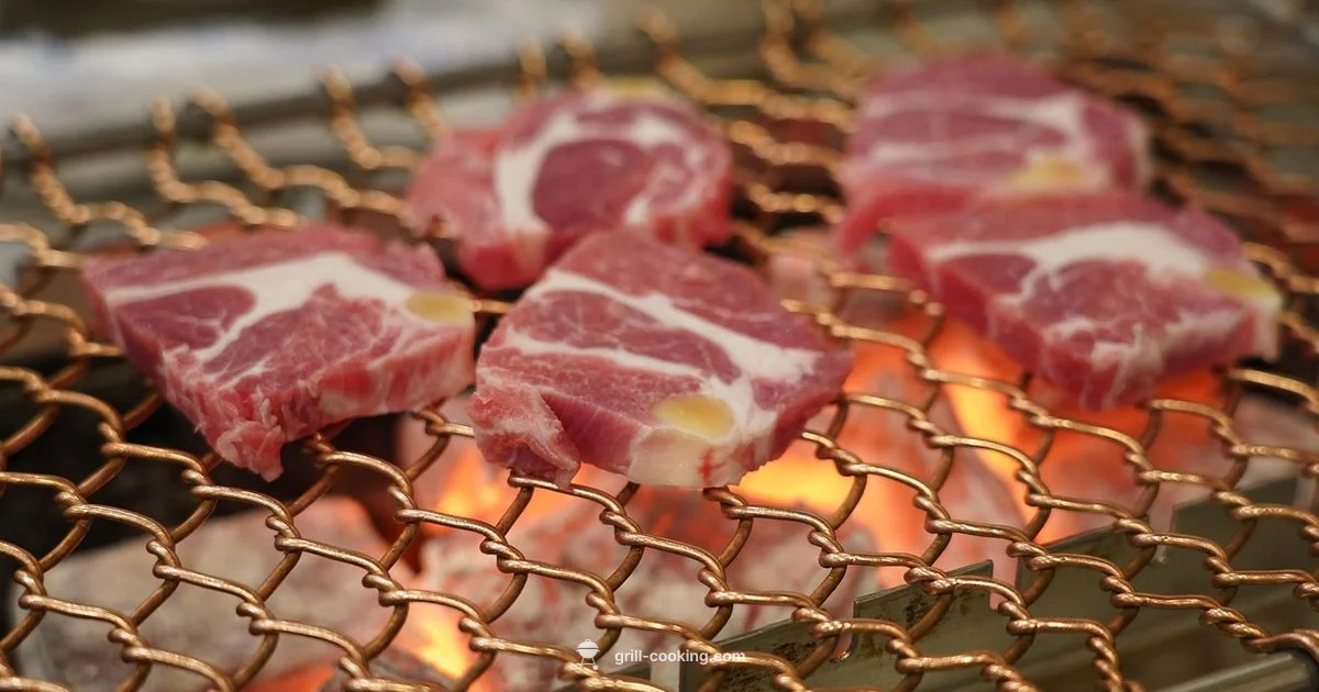 El gordo Grill Guide - Grill Cooking