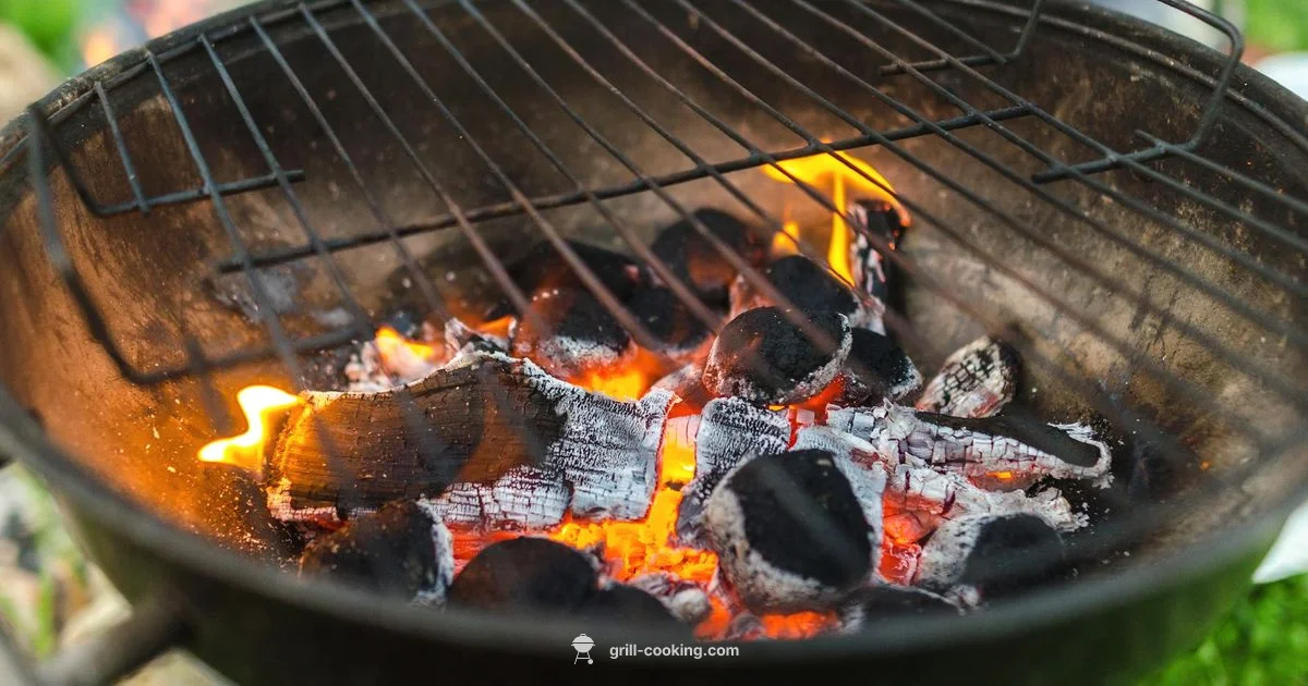 Grease-Free Grill Guide - Grill Cooking