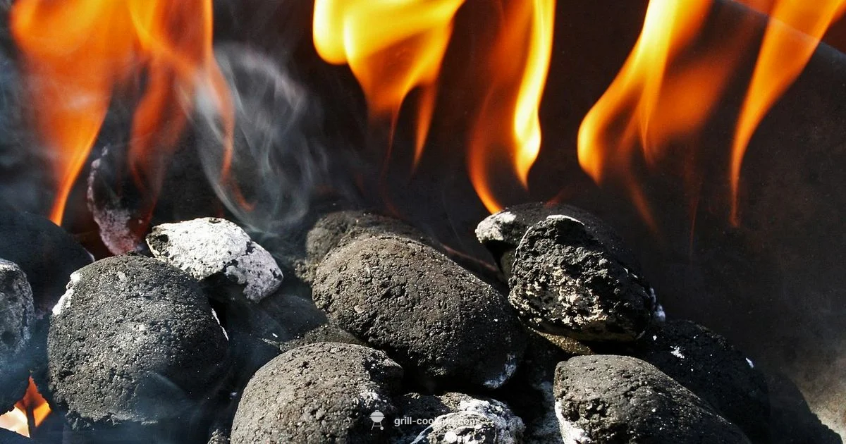 American Grill Essentials - Grill Cooking