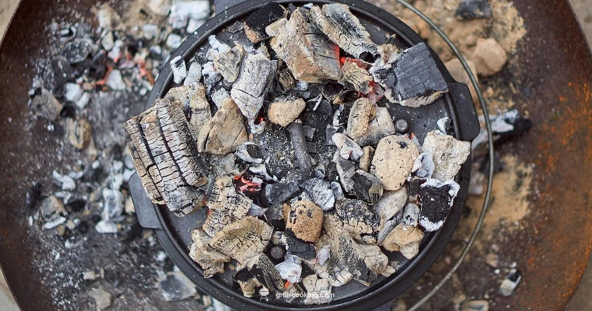 Cast Iron Grates Guide - Grill Cooking