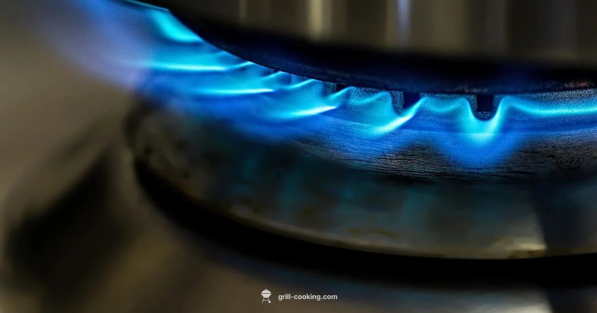 Gas Leak Safety - Grill Cooking