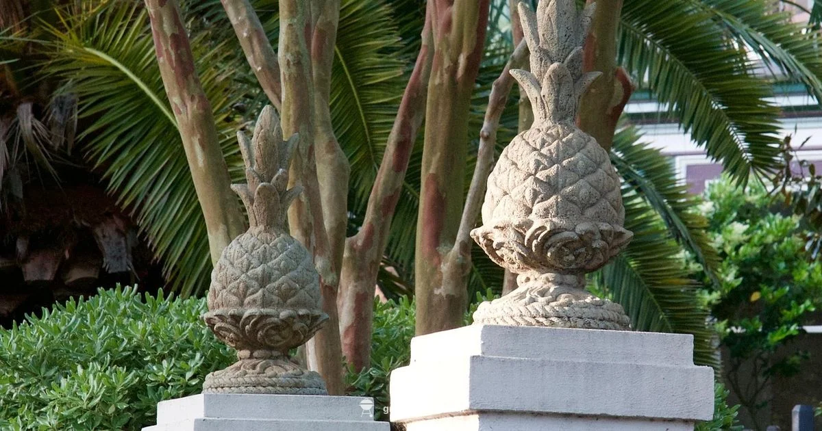 Charleston 225 Review - Grill Cooking