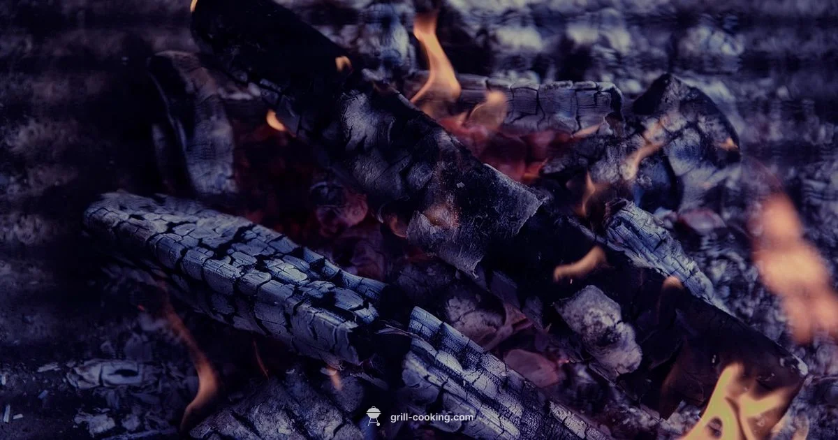 Sticking Free Grilling - Grill Cooking