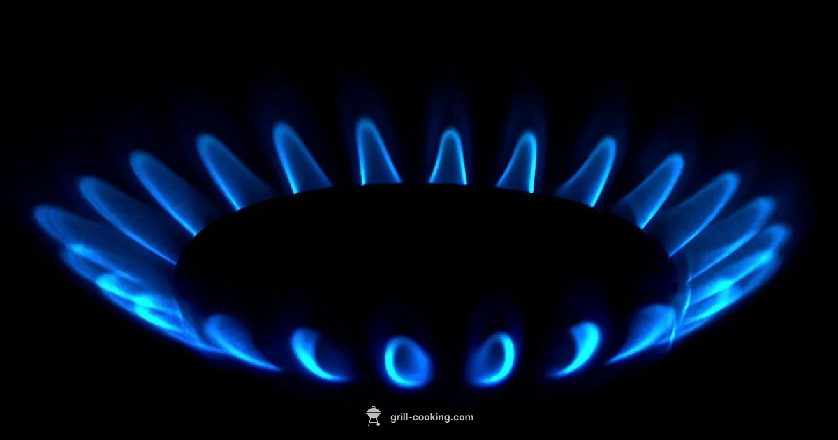 Gas Conversion Guide - Grill Cooking