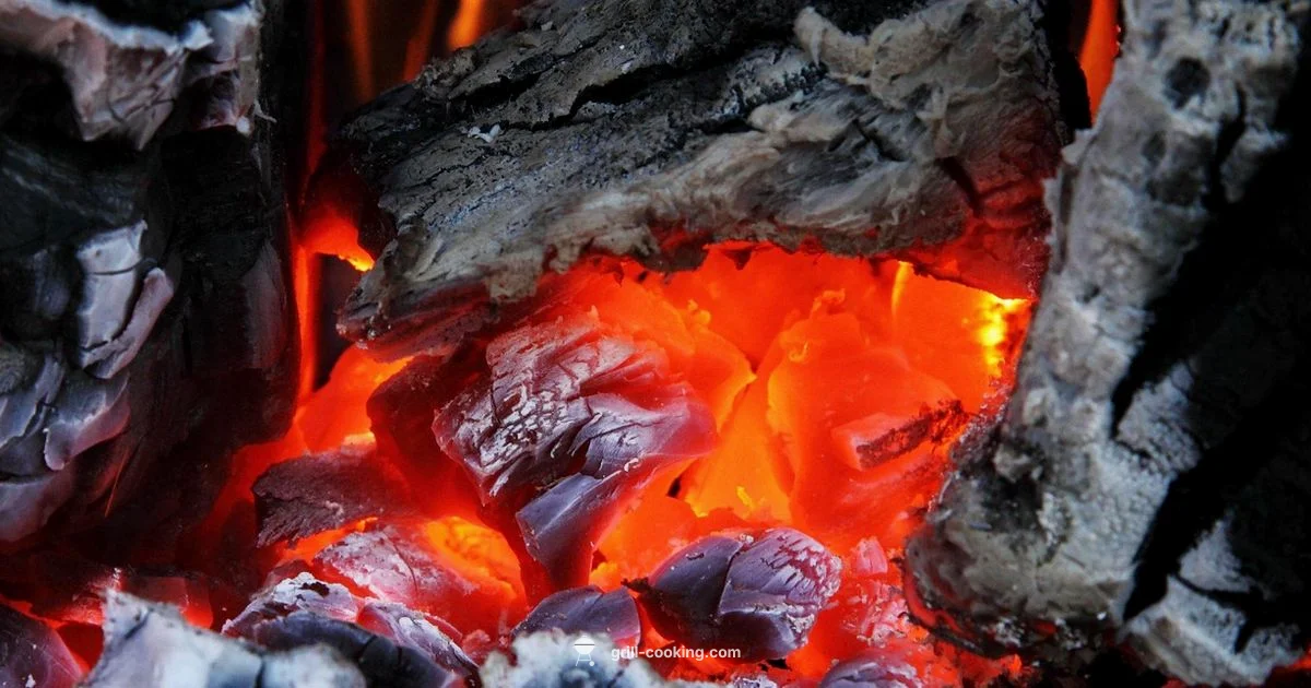 Grill vs Oven - Grill Cooking