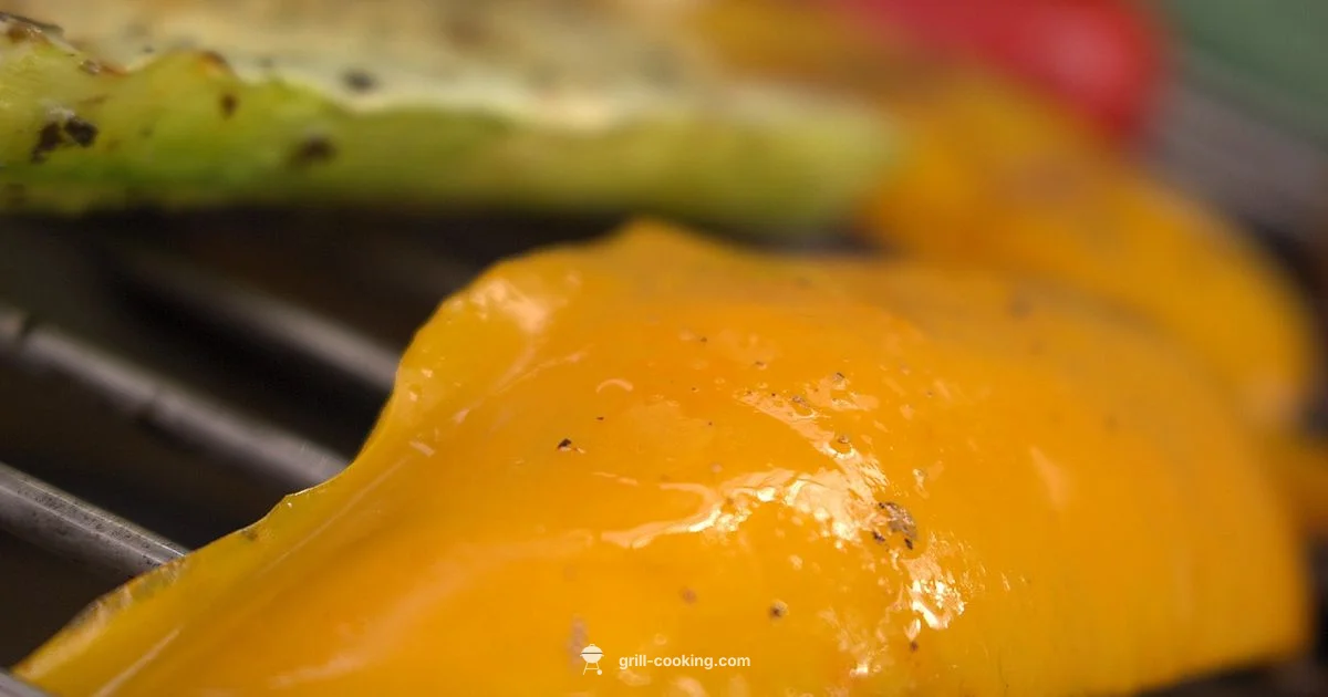 Vegetarian Grill Guide - Grill Cooking