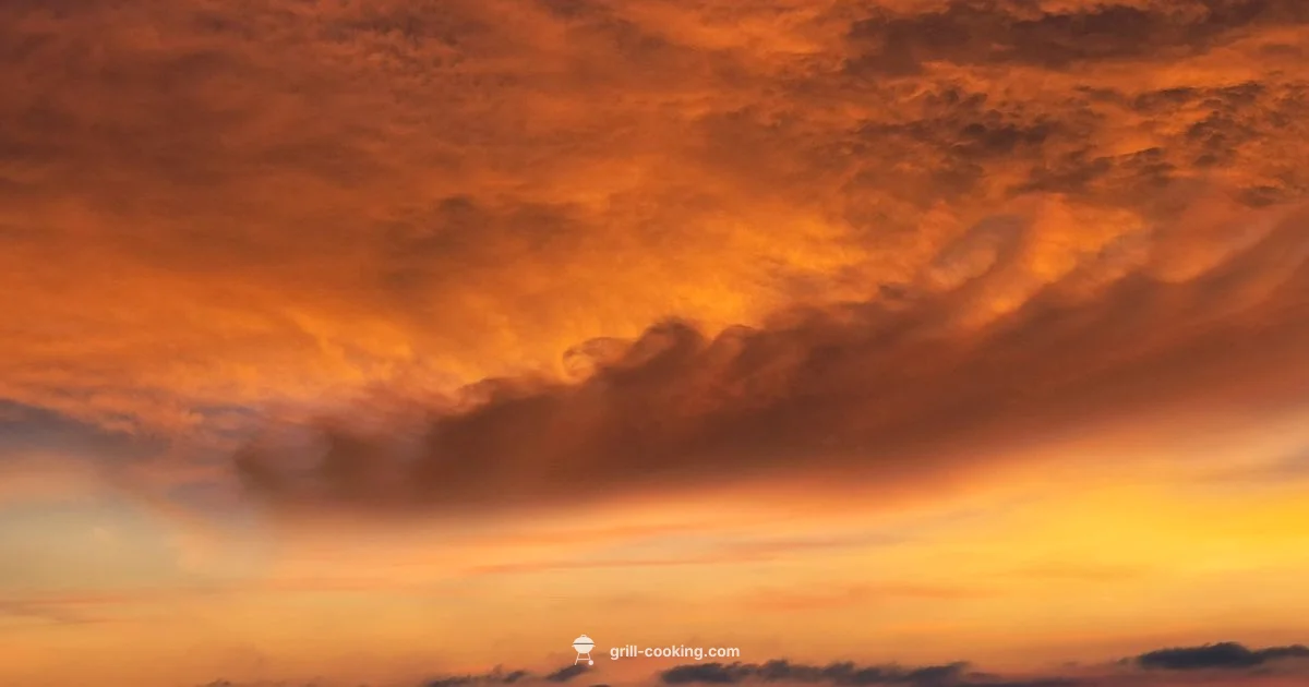 Royalty Grilling - Grill Cooking