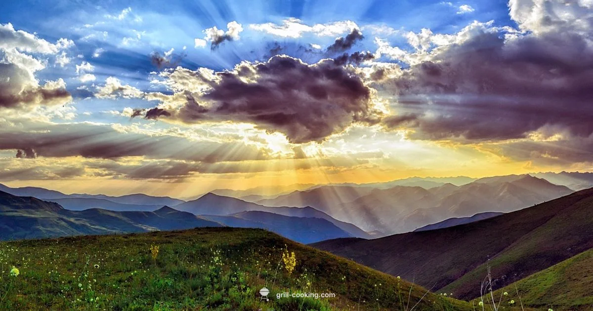 Grill to Oven - Grill Cooking