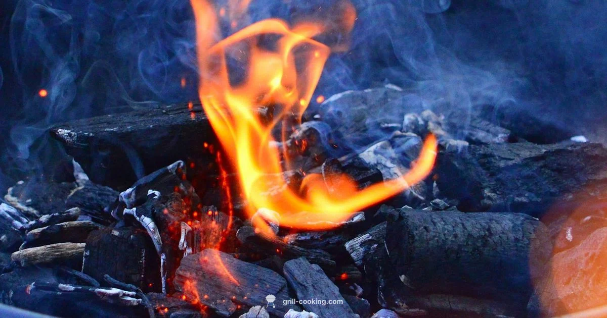 Grill Grate Care - Grill Cooking