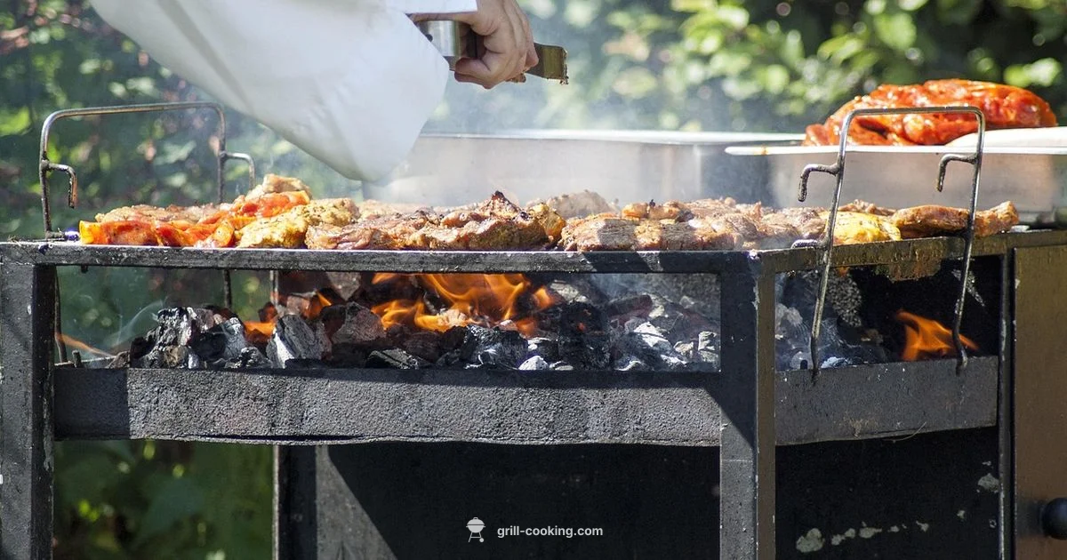 Digestible BBQ Tips Digestible BBQ Tips - Grill Cooking