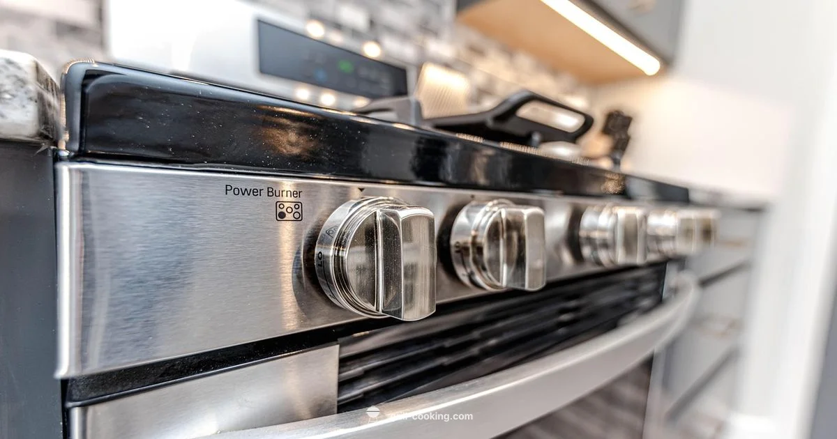 OTG Grill Mode - Grill Cooking