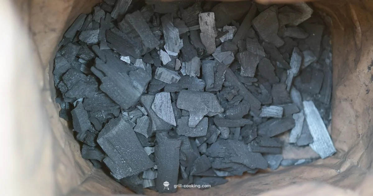 Start Grilling Without Fluid - Grill Cooking