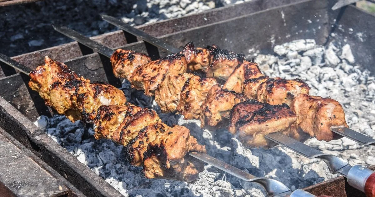 Premium Grilling Guide Premium Grilling Guide - Grill Cooking