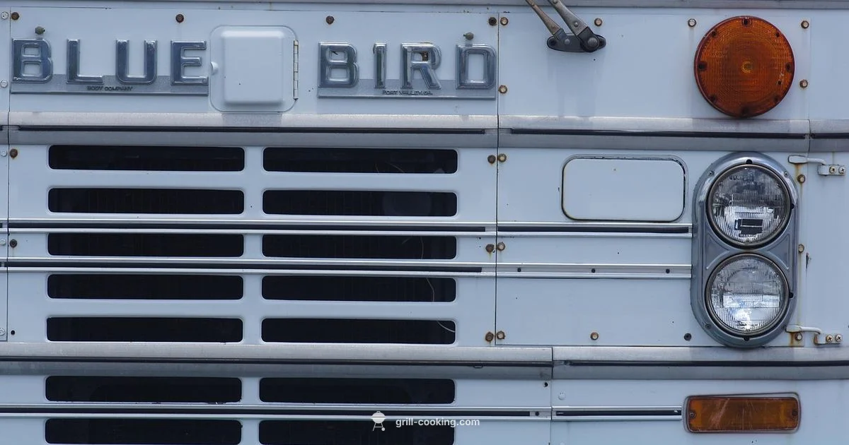 Car Grille Essentials - Grill Cooking