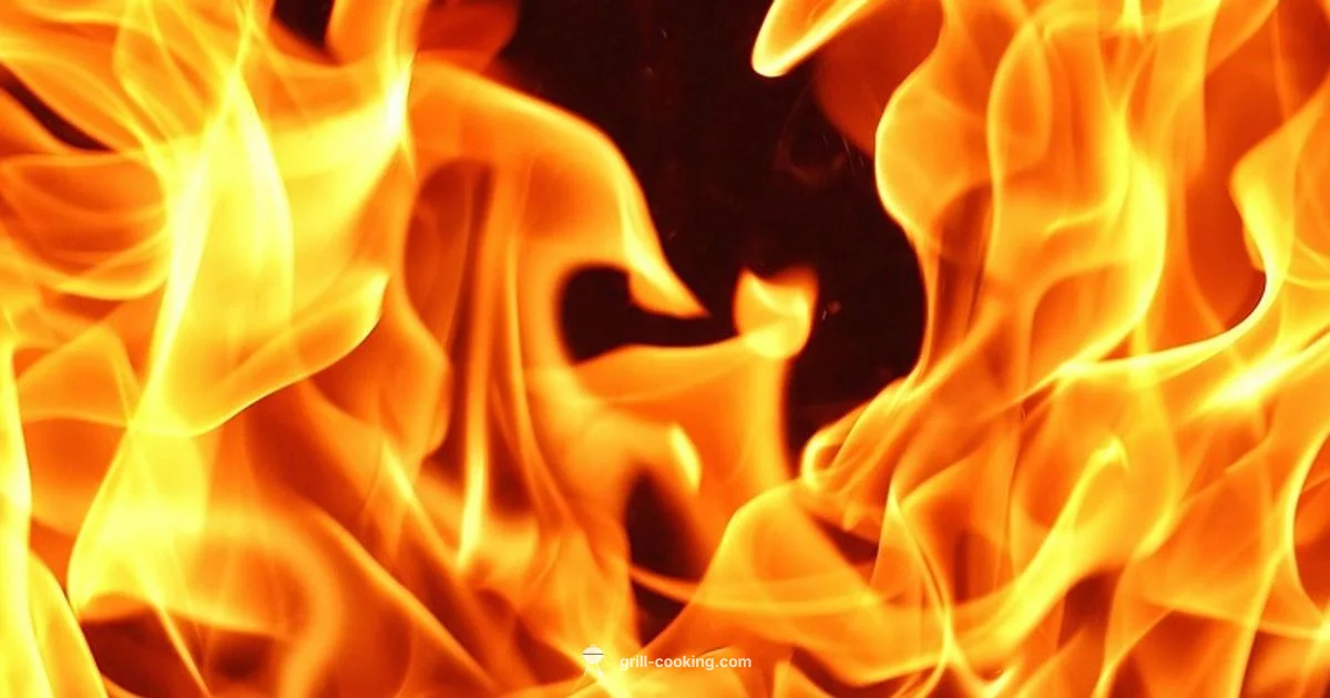 Master the Grill - Grill Cooking